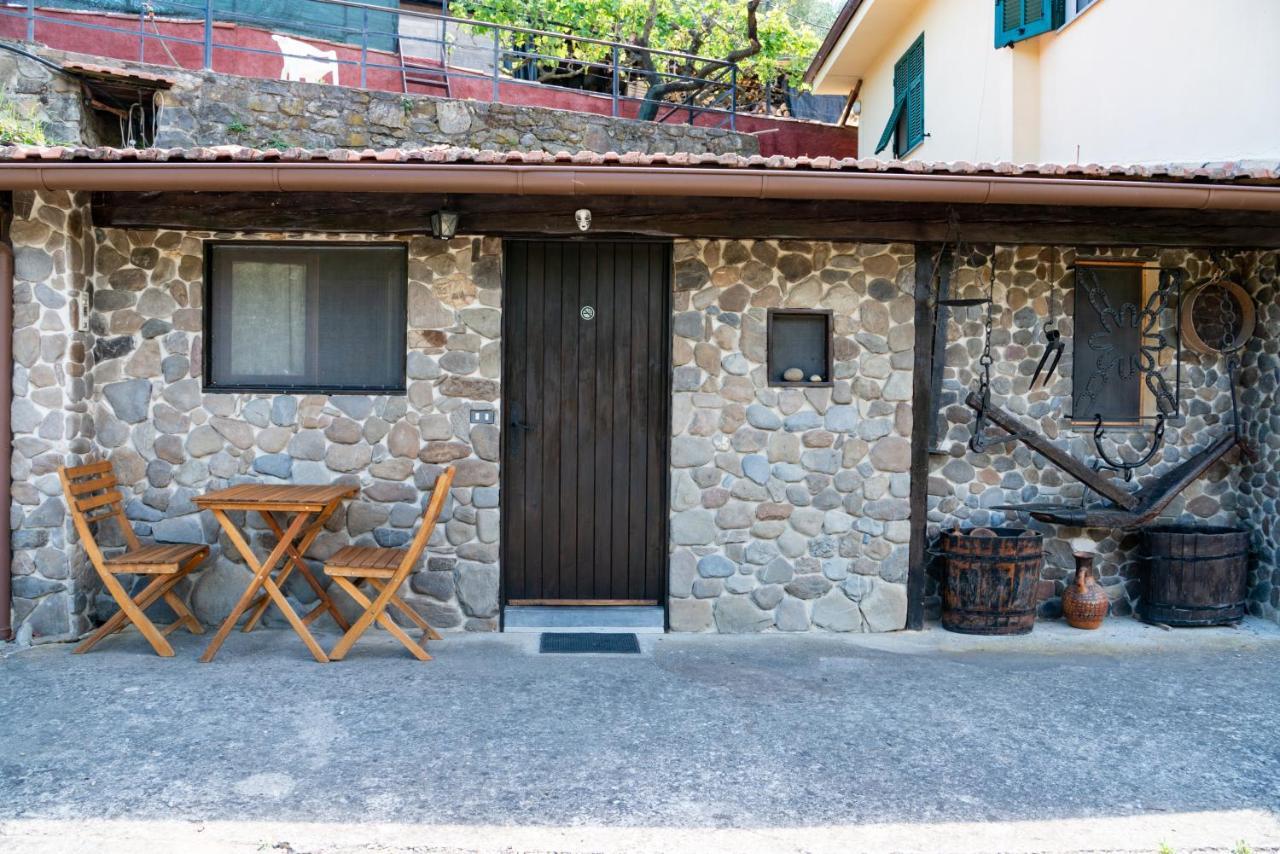 Antica Macina - “La Taverna” Rocchetta Nervina ภายนอก รูปภาพ